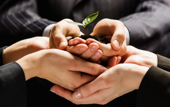 Several cupped hands jointly hold a new plant sprouting from dirt.